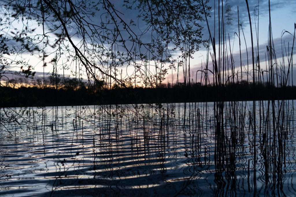 Falkenhagener See derstadtfalke.de